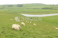 grassland, field, 들, outdoors, 옥외, 사진,이미지,일러스트,캘리그라피 - rari작가 크라우드픽 - 저작권 걱정 없는 상업용 이미지