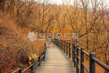 홍은동, 북한산, 산책, 산책로, 서울, 사진,이미지,일러스트,캘리그라피 - imlover작가 크라우드픽 - 저작권 걱정 없는 상업용 이미지