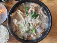순대국, 국밥, 순대, 돼지국밥, 한식, 사진,이미지,일러스트,캘리그라피 - 픽픽플리즈작가 크라우드픽 - 저작권 걱정 없는 상업용 이미지