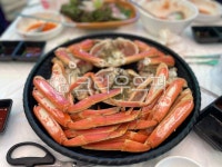 food, 대게, 홍게, 영덕대게, 식사, 사진,이미지,일러스트,캘리그라피 - jeh9009작가 크라우드픽 - 저작권 걱정 없는 상업용 이미지