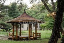 정자, 쉼터, 솔밭, 풍경, 숲, 사진,이미지,일러스트,캘리그라피 - 재혀이작가 크라우드픽 - 저작권 걱정 없는 상업용 이미지