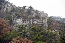 용봉산, 홍성용봉산, 기암괴석, 바위산, 산, 사진,이미지,일러스트,캘리그라피 - Deep bLUE작가 크라우드픽 - 저작권 걱정 없는 상업용 이미지