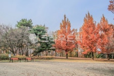 정발산, 산, 공원, 벤치, 옥외, 사진,이미지,일러스트,캘리그라피 - imlover작가 크라우드픽 - 저작권 걱정 없는 상업용 이미지