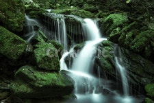 이끼, 계곡, 이끼계곡, 배경, 풍경, 사진,이미지,일러스트,캘리그라피 - 포타도작가 크라우드픽 - 저작권 걱정 없는 상업용 이미지