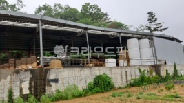 porch, 야외, 축사, 농막, 소, 사진,이미지,일러스트,캘리그라피 - 풀그림자작가 크라우드픽 - 저작권 걱정 없는 상업용 이미지