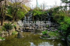 공원, 장충단공원, 목재, 난간, 다리, 사진,이미지,일러스트,캘리그라피 - imlover작가 크라우드픽 - 저작권 걱정 없는 상업용 이미지