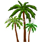 야자수, 하와이, 야자나무, palmtree, tree, 사진,이미지,일러스트,캘리그라피 - dodo mom작가 크라우드픽 - 저작권 걱정 없는 상업용 이미지