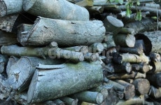 wood, 시골, 부뚜막, 장작, 초가집, 사진,이미지,일러스트,캘리그라피 - Jake street작가 크라우드픽 - 저작권 걱정 없는 상업용 이미지