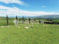 pasture, 목장, field, 필드, nature, 사진,이미지,일러스트,캘리그라피 - 온디자인작가 크라우드픽 - 저작권 걱정 없는 상업용 이미지