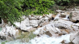 계곡, 숲속계곡, 숲속, 계곡물, 물, 사진,이미지,일러스트,캘리그라피 - 소중한 인연작가 크라우드픽 - 저작권 걱정 없는 상업용 이미지