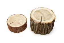 나무, 나무토막, 통나무, 통나무토막, 나이테, 사진,이미지,일러스트,캘리그라피 - 5banjang작가 크라우드픽 - 저작권 걱정 없는 상업용 이미지