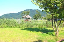 순천만습지, 습지, 정자, 갈대, 나무, 사진,이미지,일러스트,캘리그라피 - ju999작가 크라우드픽 - 저작권 걱정 없는 상업용 이미지