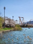 보문호수, 경주, 보문호, 호수, 봄, 사진,이미지,일러스트,캘리그라피 - Niamwinmir작가 크라우드픽 - 저작권 걱정 없는 상업용 이미지