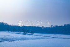 눈, 설원, 목장, 원당종마목장, 겨울, 사진,이미지,일러스트,캘리그라피 - 메추리알작가 크라우드픽 - 저작권 걱정 없는 상업용 이미지