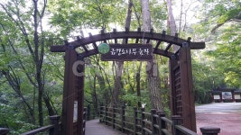 간판, 길, 숲길, 두레길초입, 시작점, 사진,이미지,일러스트,캘리그라피 - Odry작가 크라우드픽 - 저작권 걱정 없는 상업용 이미지