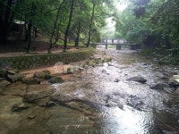 계곡, 수락산, 나무, 여름, 감성사진, 사진,이미지,일러스트,캘리그라피 - 잘나가는윤군작가 크라우드픽 - 저작권 걱정 없는 상업용 이미지