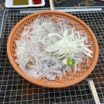 오징어, 산오징어, 산오징어회, 회, 오징어회, 사진,이미지,일러스트,캘리그라피 - 더담작가 크라우드픽 - 저작권 걱정 없는 상업용 이미지