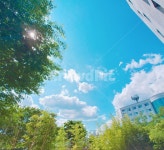 하늘, 풍경, 자연, 맑은날, 구름, 사진,이미지,일러스트,캘리그라피 - chun작가 크라우드픽 - 저작권 걱정 없는 상업용 이미지