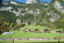 자연, 스위스, 알프스, 유럽, 산, 사진,이미지,일러스트,캘리그라피 - Nsshjyw326작가 크라우드픽 - 저작권 걱정 없는 상업용 이미지