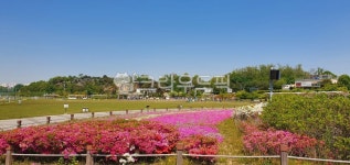 공원, 자연, nature, electronics, 옥외, 사진,이미지,일러스트,캘리그라피 - bcm6258작가 크라우드픽 - 저작권 걱정 없는 상업용 이미지