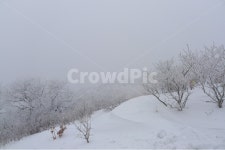 계방산, 운두령, 설경, 눈세상, 평창, 사진,이미지,일러스트,캘리그라피 - 자연사랑작가 크라우드픽 - 저작권 걱정 없는 상업용 이미지