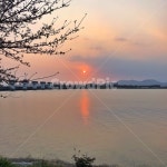 낙동강, 하구둑, 을숙도, 강변도로, 강변, 사진,이미지,일러스트,캘리그라피 - 2GYO작가 크라우드픽 - 저작권 걱정 없는 상업용 이미지