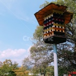 비둘기집, 감성, 하늘, 풍경, 색감, 사진,이미지,일러스트,캘리그라피 - 풀잎작가 크라우드픽 - 저작권 걱정 없는 상업용 이미지