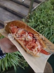 랍스터, 샌드위치, 음식, 해산물, 핫도그, 사진,이미지,일러스트,캘리그라피 - 쭈꾸밍작가 크라우드픽 - 저작권 걱정 없는 상업용 이미지
