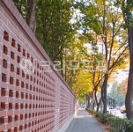 path, 통로, 길, 도로, 산책, 사진,이미지,일러스트,캘리그라피 - kim89작가 크라우드픽 - 저작권 걱정 없는 상업용 이미지
