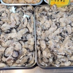 해물, 해산물, 수산물, seafood, 굴, 사진,이미지,일러스트,캘리그라피 - BUSAN OPPA작가 크라우드픽 - 저작권 걱정 없는 상업용 이미지