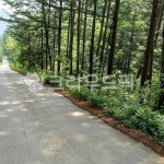 path, trail, 통로, 길, road, 사진,이미지,일러스트,캘리그라피 - Njangmi9400작가 크라우드픽 - 저작권 걱정 없는 상업용 이미지