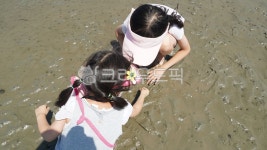 방아머리해수욕장, 해수욕장, 갯벌, 바다, 바닷가, 사진,이미지,일러스트,캘리그라피 - BingBing작가 크라우드픽 - 저작권 걱정 없는 상업용... 