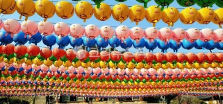 연등, 연등회, 등, 사찰, 절, 사진,이미지,일러스트,캘리그라피 - BUSAN OPPA작가 크라우드픽 - 저작권 걱정 없는 상업용 이미지