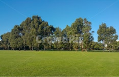 공원, 잔디, 하늘, park, grass, 사진,이미지,일러스트,캘리그라피 - 산토스작가 크라우드픽 - 저작권 걱정 없는 상업용 이미지