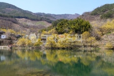 산수유, 구례, 산수유마을, 산수유꽃, 현천마을, 사진,이미지,일러스트,캘리그라피 - leekom작가 크라우드픽 - 저작권 걱정 없는 상업용 이미지