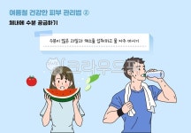 수박, 물, 피부, 채소, 여름맞이, 사진,이미지,일러스트,캘리그라피 - 냥마스터작가 크라우드픽 - 저작권 걱정 없는 상업용 이미지