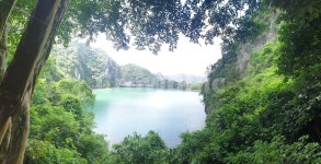 숲속, 호수, 자연, nature, forest, 사진,이미지,일러스트,캘리그라피 - 정아작가 크라우드픽 - 저작권 걱정 없는 상업용 이미지