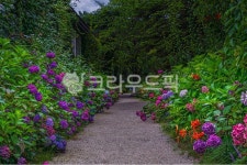 꽃길, 네이처, flower, 뜰, 봄, 사진,이미지,일러스트,캘리그라피 - forest 00작가 크라우드픽 - 저작권 걱정 없는 상업용 이미지