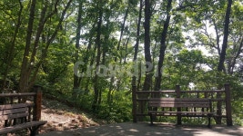 동해시, 초록봉, 등산, 트레킹, 쉼터, 사진,이미지,일러스트,캘리그라피 - Nkmcmbc작가 크라우드픽 - 저작권 걱정 없는 상업용 이미지