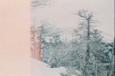 감성, 필름카메라, 한라산, 겨울, 눈, 사진,이미지,일러스트,캘리그라피 - Nmk0276작가 크라우드픽 - 저작권 걱정 없는 상업용 이미지