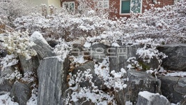 nature, 자연, outdoors, 옥외, 눈, 사진,이미지,일러스트,캘리그라피 - 은하월작가 크라우드픽 - 저작권 걱정 없는 상업용 이미지