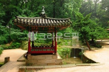 outdoors, 옥외, 서울, 창덕궁, 종로구, 사진,이미지,일러스트,캘리그라피 - Nepoto1작가 크라우드픽 - 저작권 걱정 없는 상업용 이미지