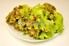 상추, 채소, 야채, 쌈, 농작물, 사진,이미지,일러스트,캘리그라피 - 깨비선생작가 크라우드픽 - 저작권 걱정 없는 상업용 이미지