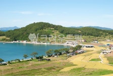 청산도, 마을, 바다, 바다길, 오솔길, 사진,이미지,일러스트,캘리그라피 - Jack Park작가 크라우드픽 - 저작권 걱정 없는 상업용 이미지