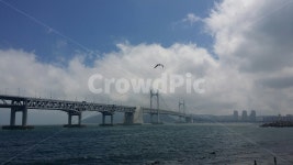 광안대교, 바다풍경, 힐링, 풍경, 해변, 사진,이미지,일러스트,캘리그라피 - 기쁨가득작가 크라우드픽 - 저작권 걱정 없는 상업용 이미지