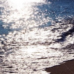 바다, 윤슬, 겨울바다, sea, 파도, 사진,이미지,일러스트,캘리그라피 - Elena작가 크라우드픽 - 저작권 걱정 없는 상업용 이미지