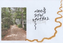 산책, 산책로, 숲, 숲체험, 등산로, 사진,이미지,일러스트,캘리그라피 - 죽림작가 크라우드픽 - 저작권 걱정 없는 상업용 이미지