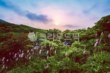 자연, 풍경, 야외, 산, nature, 사진,이미지,일러스트,캘리그라피 - Vaun작가 크라우드픽 - 저작권 걱정 없는 상업용 이미지