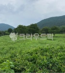 farm, 농장, field, 필드, nature, 사진,이미지,일러스트,캘리그라피 - 냉정한작가 크라우드픽 - 저작권 걱정 없는 상업용 이미지