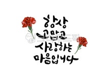 캘리그라피, 카네이션, 감사의말, 스승의날, 선생님께, 사진,이미지,일러스트,캘리그라피 - 핸디라미작가 크라우드픽 - 저작권 걱정 없는 상업용... 